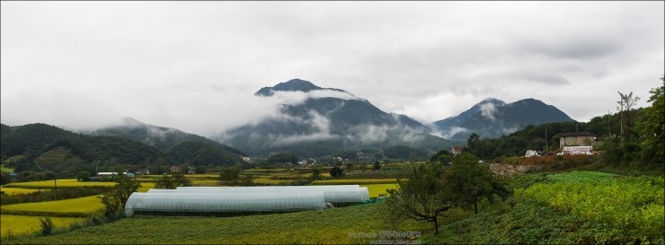 라이카 M9 + Summicron-M 1:2/35 Asph.
